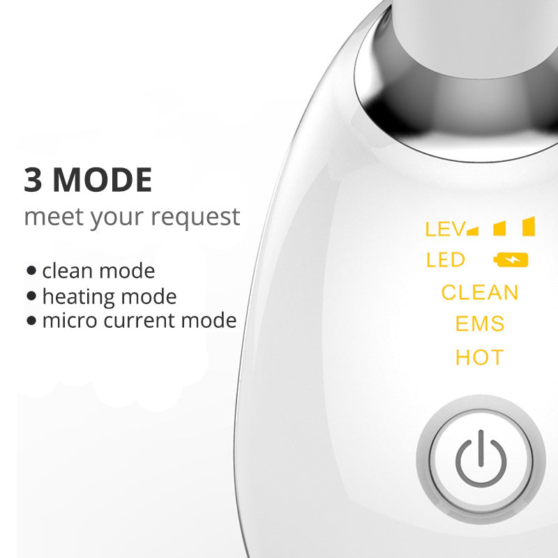 Youthful Glow Face Massager
