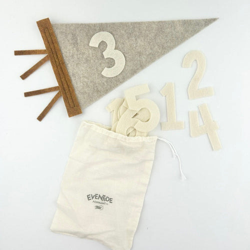 Monthly Milestone Pennant // beige with chestnut, block numbers