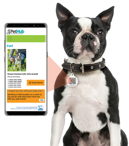 PetHub QR ID Pet Tag - Lost AF