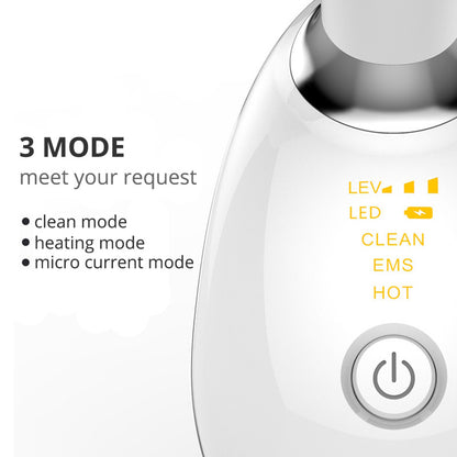 Youthful Glow Face Massager
